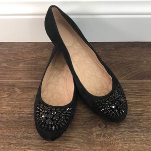 Joan & David Suede black Flat